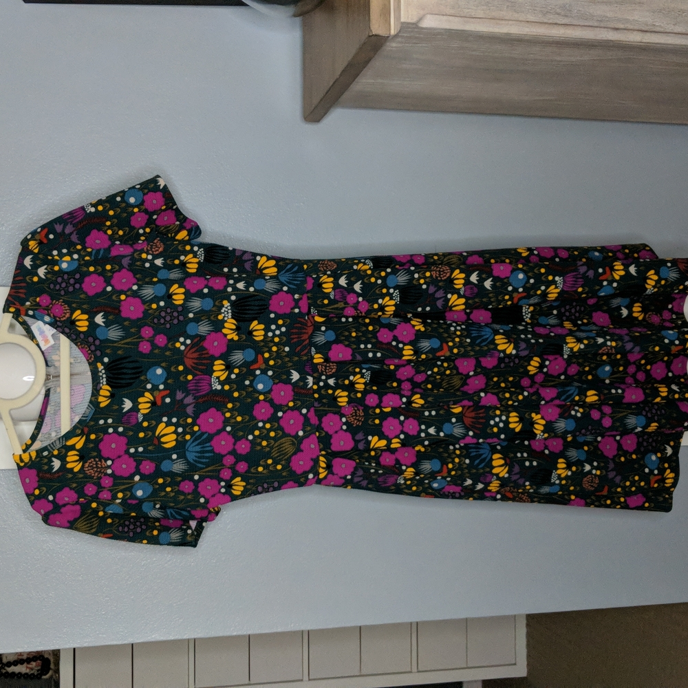 LuLaRoe versatile Amelia dress